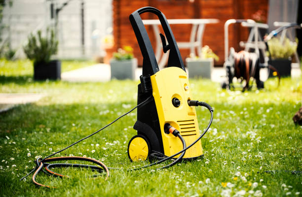 Best Spring Cleaning  in Mount Morris, IL